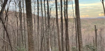 48 Wildcat Wilderness Parkway, Deep Gap