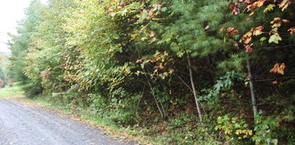 LOT 21 Chestnut Creek Road, West Jefferson