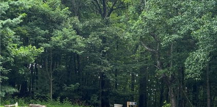 TBD Ivy Ridge Road, Deep Gap