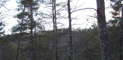 TBD Roaring Ridge Road, Deep Gap