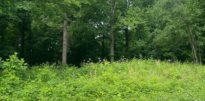 0000 Mountain View Road, North Wilkesboro