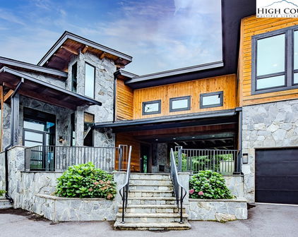 1002 Ninebark Road, Boone