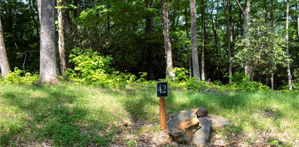 Lot 42 Poplar Forest Drive, Boone