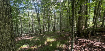 217 Sawmill Branch Road, Beech Mountain