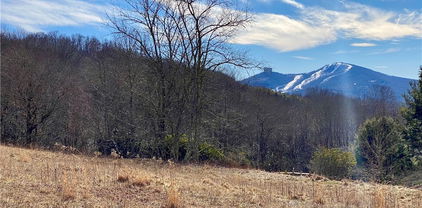 TBD Horse Bottom Road, Banner Elk