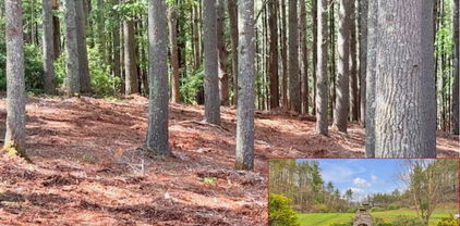 Lot 37 Smoke Rise Path, West Jefferson