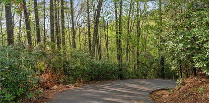 TBD Springhollow Road, Banner Elk