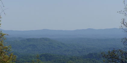 TBD HWY 321 Highway, Lenoir