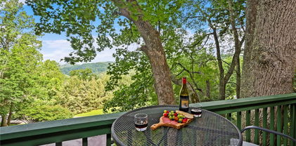 140-1 Lindale Ridge Unit 503, Boone