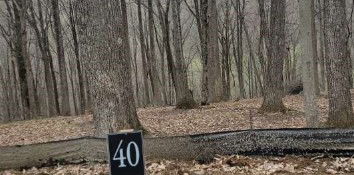 Poplar Forest Drive, Boone