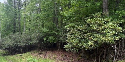 522 Saint Andrews Road, Beech Mountain