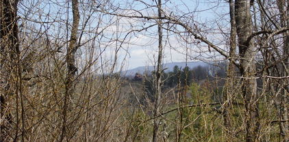 Lot #13A River Forest Road, Piney Creek