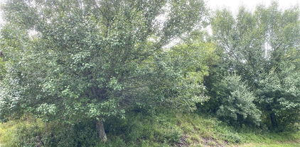 Lot 20 Isabel Way, Piney Creek