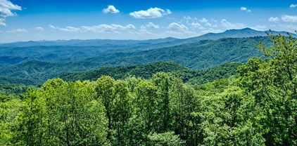 334 Dogwood, Blowing Rock