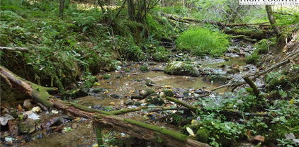 Lot 85 Blueberry Hill, West Jefferson