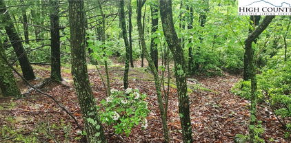 tbd Flat Mountain Road, Lenoir
