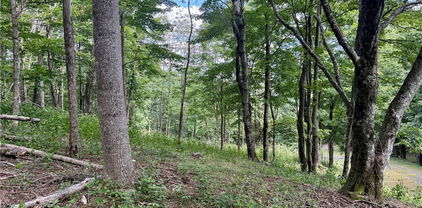 TBD Mystery Mountain Drive, West Jefferson
