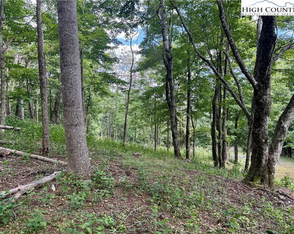 TBD Mystery Mountain Drive, West Jefferson