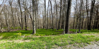 203 Sawmill Branch Road, Beech Mountain