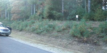 Lot 4 Pine Chase, Glade Valley