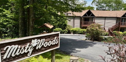 1664 Grouse Moor Drive Unit 4, Sugar Mountain