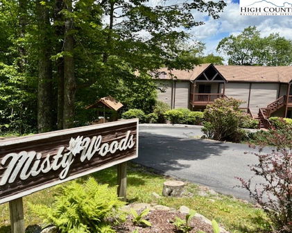 1664 Grouse Moor Drive Unit 4, Sugar Mountain