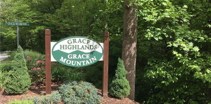 TBD Lot 11 Alpine Forest Drive, Todd