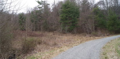 Lot 62 Laurel Mountain Drive, Sparta
