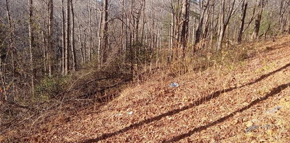 TBD Orchard Creek Road, Deep Gap
