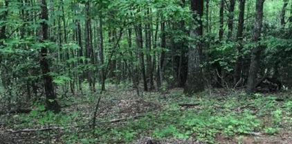 Lot 48 White Tail Road, West Jefferson