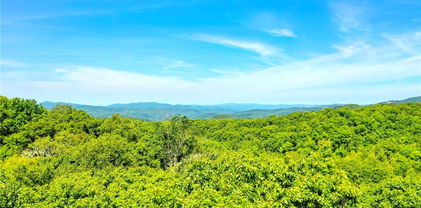 Lot 7017 Summit Forest Way, Banner Elk