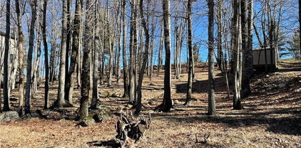 493 Saint Andrews Road, Beech Mountain