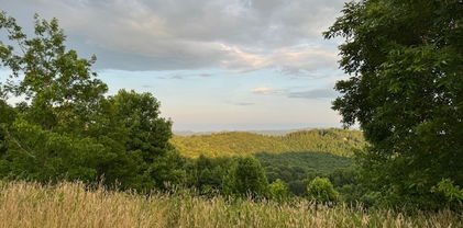 Lot 2 Longview Ridge, Todd