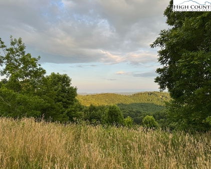 Lot 2 Longview Ridge, Todd