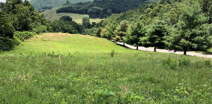Lot #24 Mountain Vista Drive, Sparta