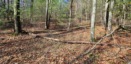 Lot 25 Riverstone, Laurel Springs