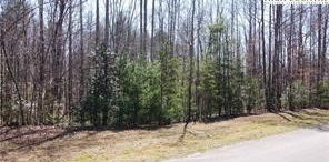 Lot #18 Blue Mountain Drive, Wilkesboro