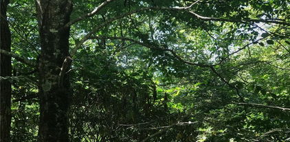 tbd Benjamin Drive, Boone
