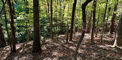 TBD Penny Lane, Deep Gap
