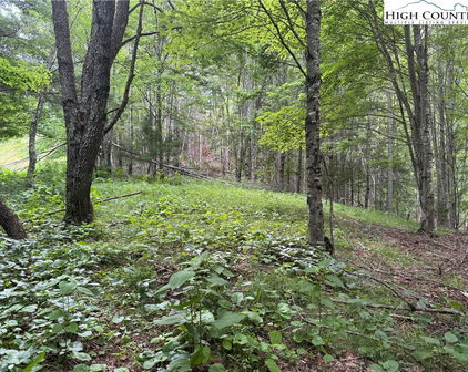 1143 Rominger Road, Banner Elk