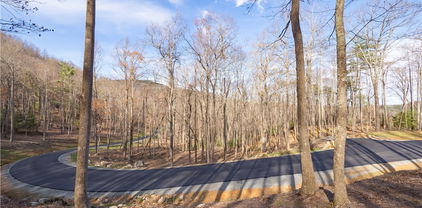 Lot 47 Wildcat Wilderness Parkway, Deep Gap