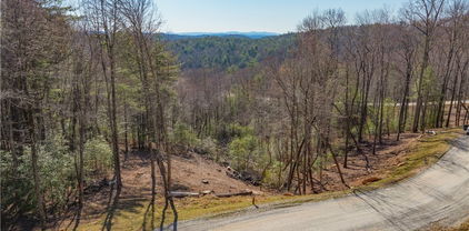 Lot 54 Wildcat Wilderness Parkway, Deep Gap
