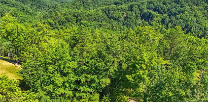 288 Ninebark Road, Boone