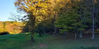 TBD Crestview Mountain Drive, Ennice