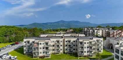 301 Pinnacle Inn Drive Unit 4214, Beech Mountain