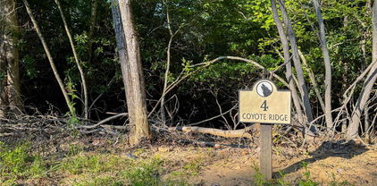 Lot R4 Coyote Trail, Boone