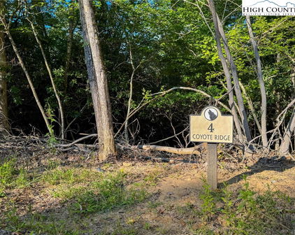 Lot R4 Coyote Trail, Boone