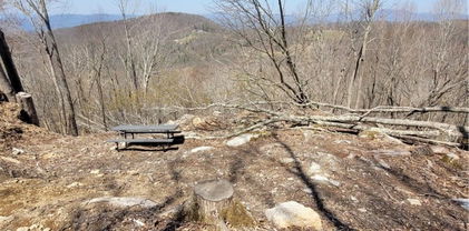 159 W Blueberry Lane, Beech Mountain