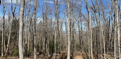 ES71 Twisted Oak Path, Banner Elk