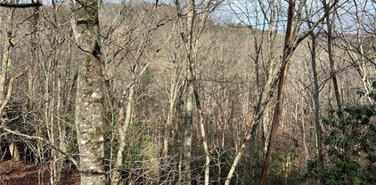 19 Speckled Drive, Laurel Springs